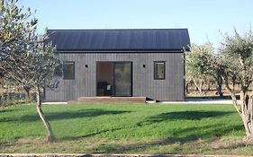 Olive Grove Cabin Waipara